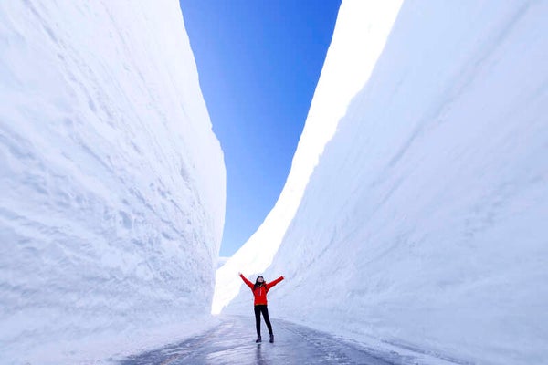【茨城県内発】 雪の大谷ウォーク!立山黒部アルペンルート通り抜けと天下第一の桜・高遠城址公園 マイカーではなかなか出来ないアルペンルート完全通り抜け!2日間1